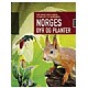 Norges dyr og planter
