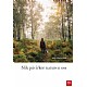 Slik pvirker naturen oss