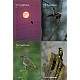 Vr Fuglefauna