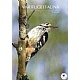 Vr Fuglefauna