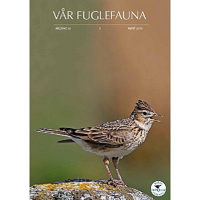 Vr Fuglefauna