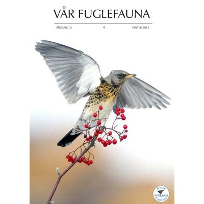 Vr Fuglefauna