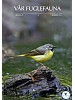 Vr Fuglefauna