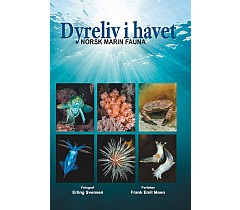 Dyreliv i havet