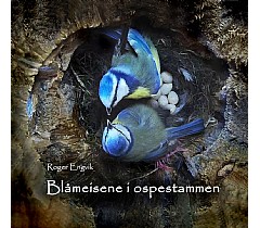 Blmeisene i ospestammen