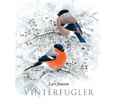 Vinterfugler