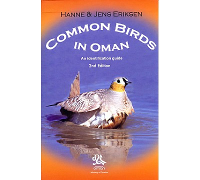 Common Birds in Oman