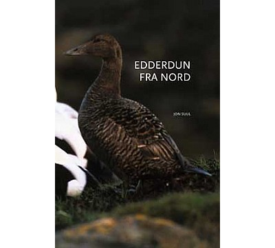 Edderdun fra nord