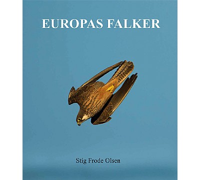 Rovfugler og ugler