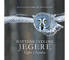 Nattens lydlse jegere