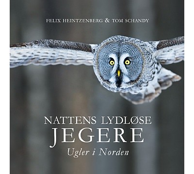 Nattens lydlse jegere