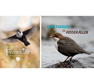 Fossekallen - Norges nasjonalfugl & Linn Therese og fossekallen