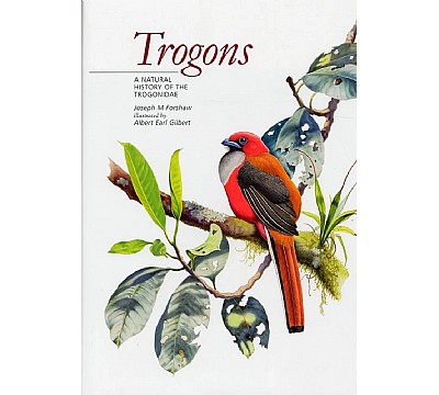 Trogoner og rkefugler