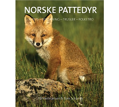 Norske pattedyr