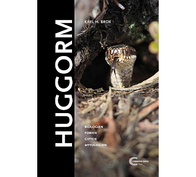 Huggorm
