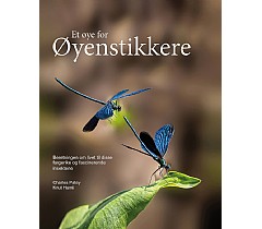 Et ye for yenstikkere