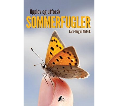 Opplev og utforsk sommerfugler