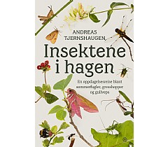 Insektene i hagen