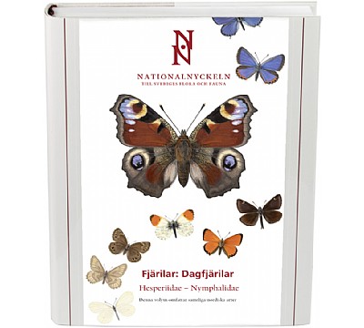 Fjrilar: Dagfjrilar, Hesperiidae - Nymphalidae