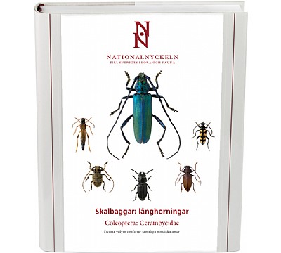 Skalbaggar: Lnghorningar. Coleoptera -Cerambycidae