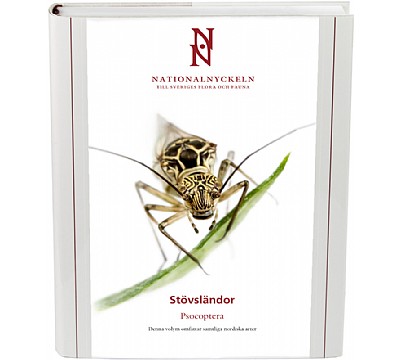 Stvslndor. Psocoptera