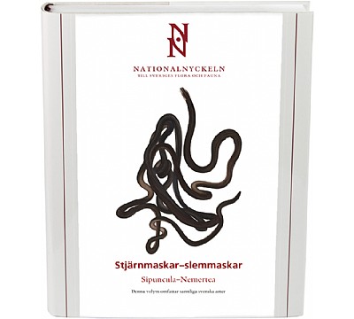 Stjrnmaskar-slemmaskar. Sipuncula -Nemertea