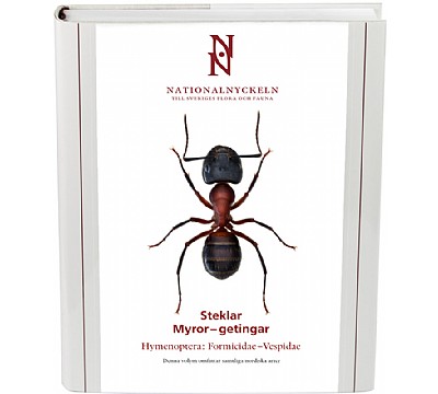Steklar: Myror - getingar. Hymenoptera: Formicidaevespidae