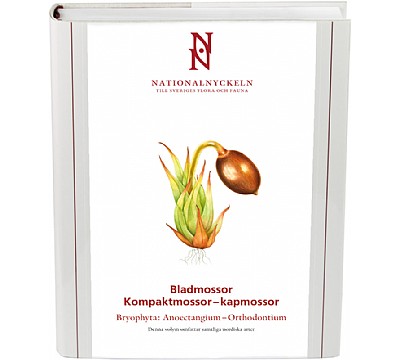 Bladmossor: Kompaktmossor - kapmossor.  Bryophyta: Anoectangium - Orthodontium