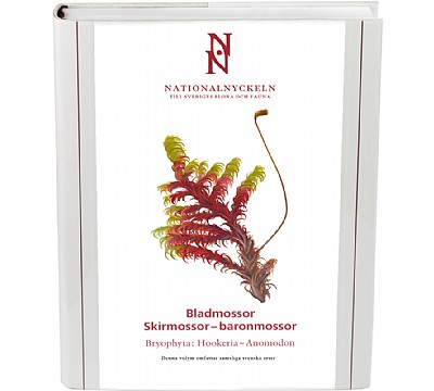 Bladmossor: Skirmossor-baronmossor.  Bryophyta: HookeriaAnomodon
