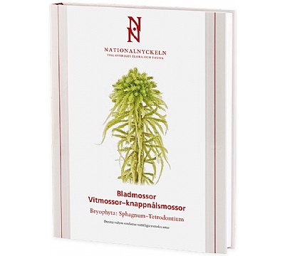 Bladmossor: Vitmossor  knappnlsmossor: Bryophyta: SphagnumTetrodontium
