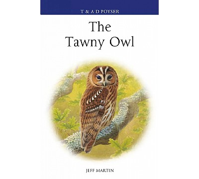 The Tawny Owl (HB)