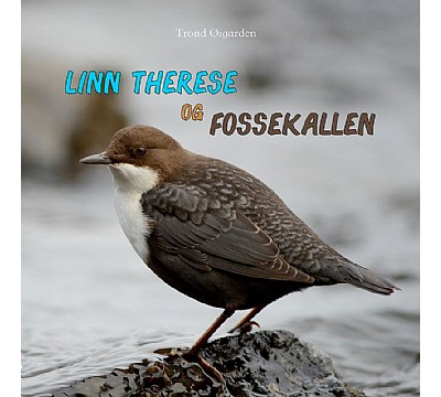 Linn Therese og fossekallen