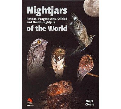 Nattravner, seilere og kolibri