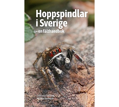 Hoppspindlar i Sverige