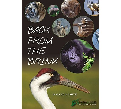 Back from the Brink